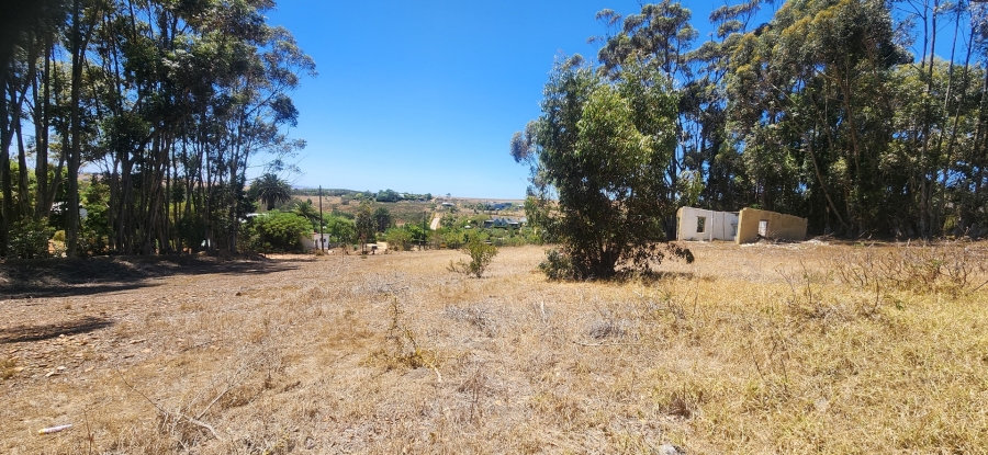 0 Bedroom Property for Sale in Napier Western Cape